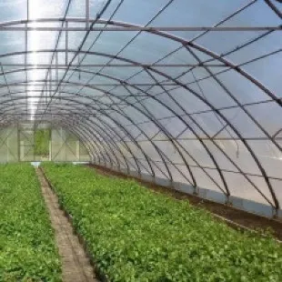 Производство теплиц